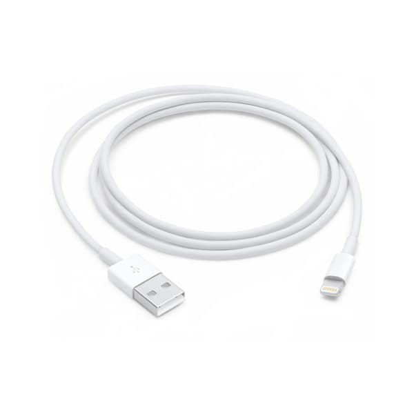 Câble USB vers Lightning (1 m)