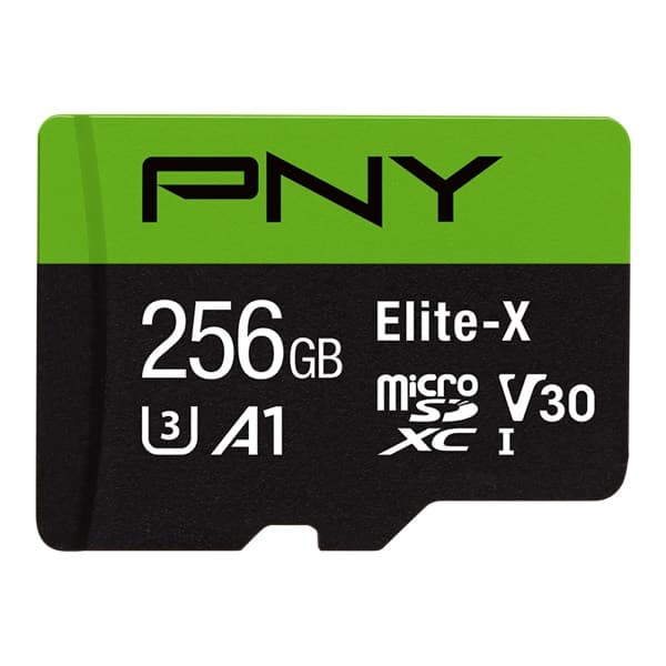 Carte microSD 256 Go