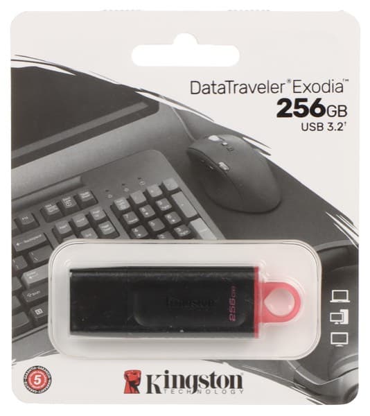 Kingston DataTraveler Exodia USB 3.2 Gen 1 256GB (DTX/256GB)