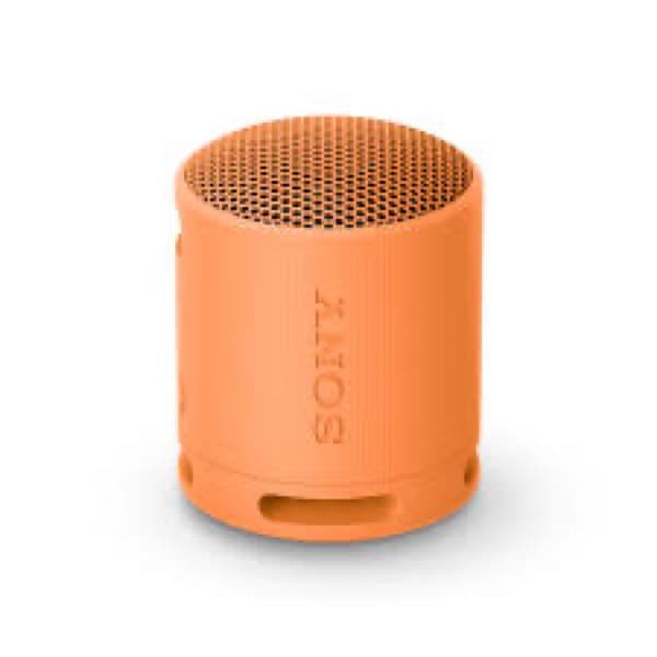 Sony SRS-XB100 Portable sans fil Bluetooth Enceinte Orange